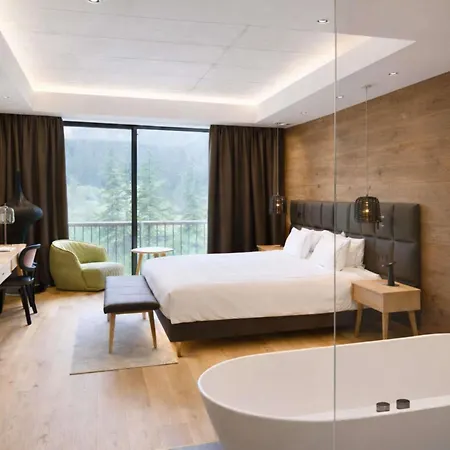 Swissotel Damian Jasna ホテル デマノブスカ・ドリーナ